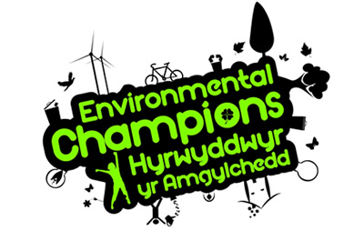 Environmental champions